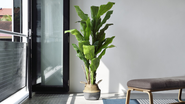 Faux tree in a modern living room
