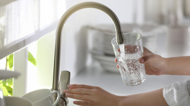 person using kitchen faucet to fill glass