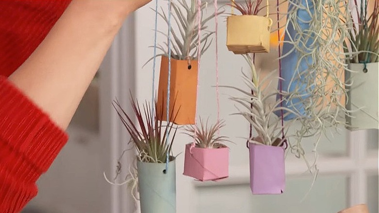 Toilet paper tube hanging planter DIY