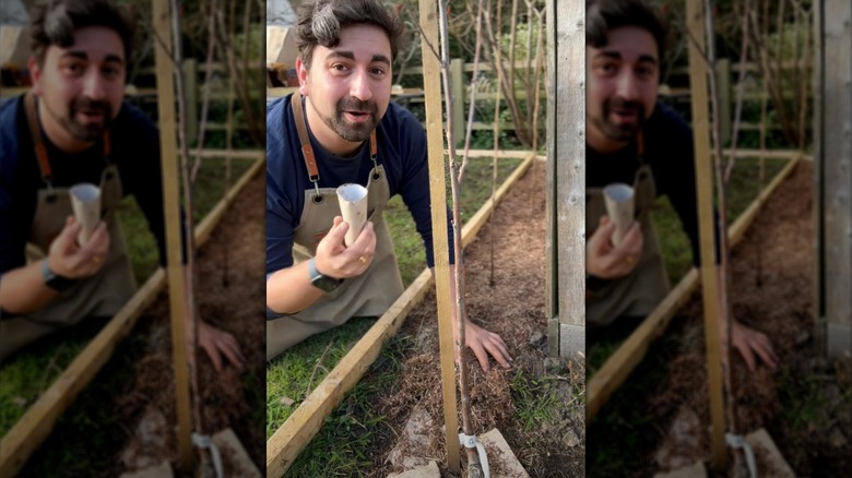 Man holding toilet paper roll tubes next to raised bed
