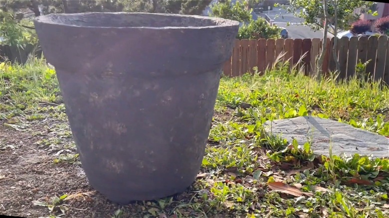 Papercrete planter DIY in garden