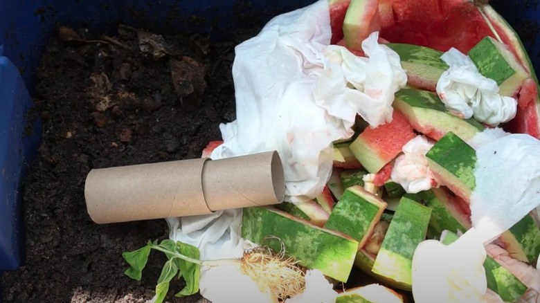 Compost bin with watermelon rinds and paper tubes