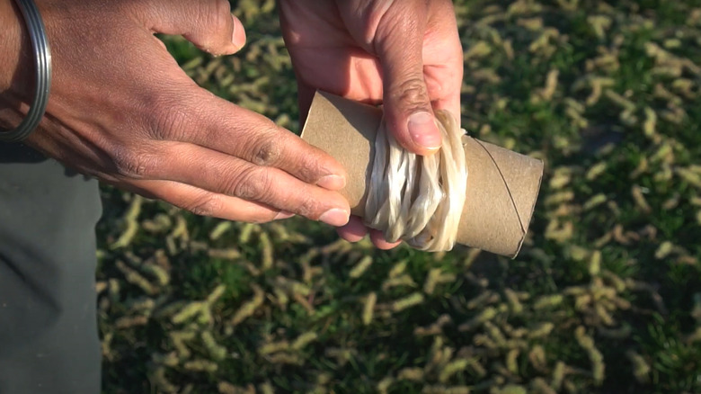 Person holding a toilet paper tube while winding string around it like a spool