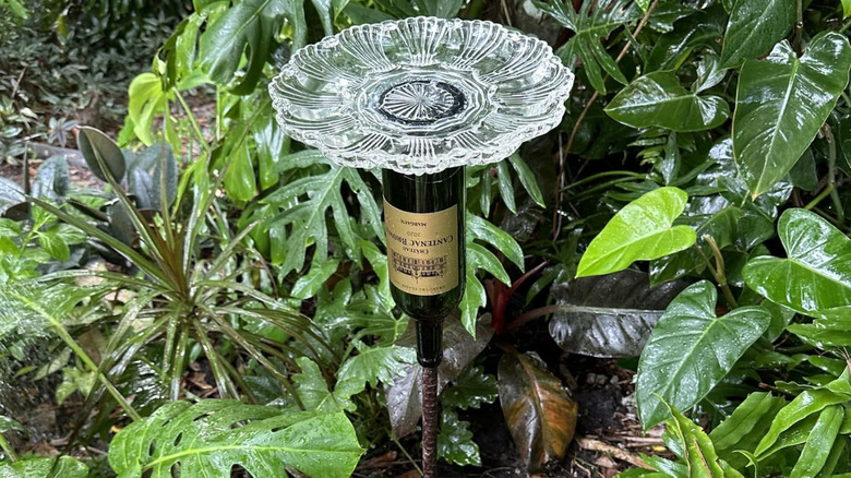 A DIY bird bath made using a deviled egg plate and wine bottle sets in a tropical shade garden.