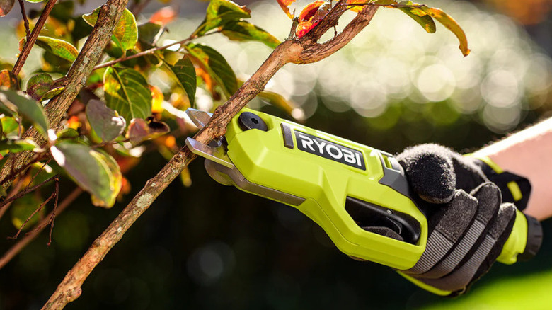 A person pruning plants with Ryobi's USB Lithium Pruning Shears Kit