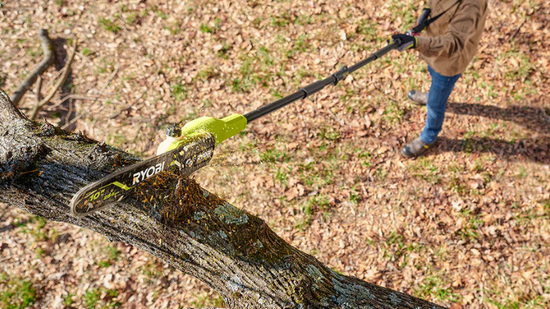 The 40V HP Brushless 10-inch Pole Saw Kit in use by person to cut a high tree branch
