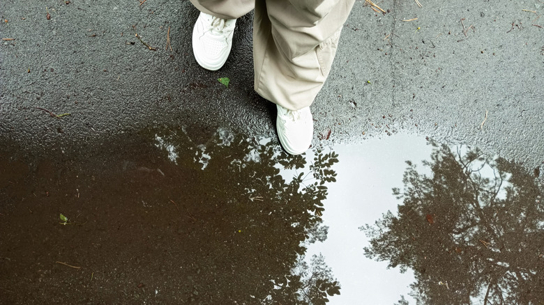 steps by puddle in driveway