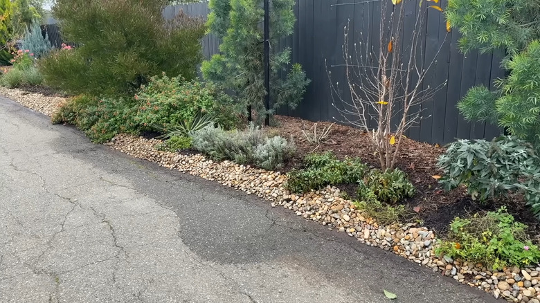A deteriorating asphalt driveway is lined with river rock to give it a polished look