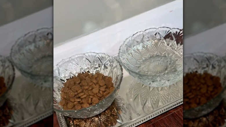 Glass bowls containing pet food and water on a silver tray