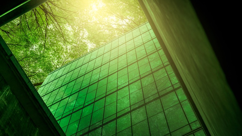 glass building next to trees