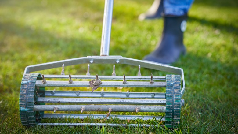 Aerating grass with push aerator