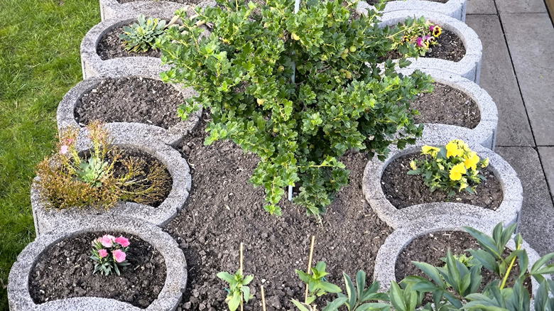 A series of concrete planters in a garden
