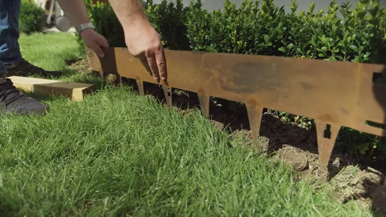Someone installing steel edging in their garden