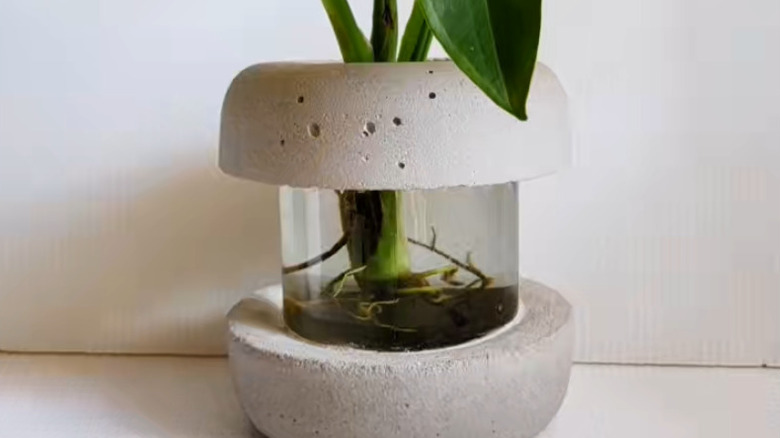 Cement and glass flower vase with a green plant in it on a white table infront of a white wall