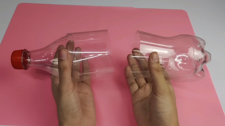 Plastic bottle cut in half