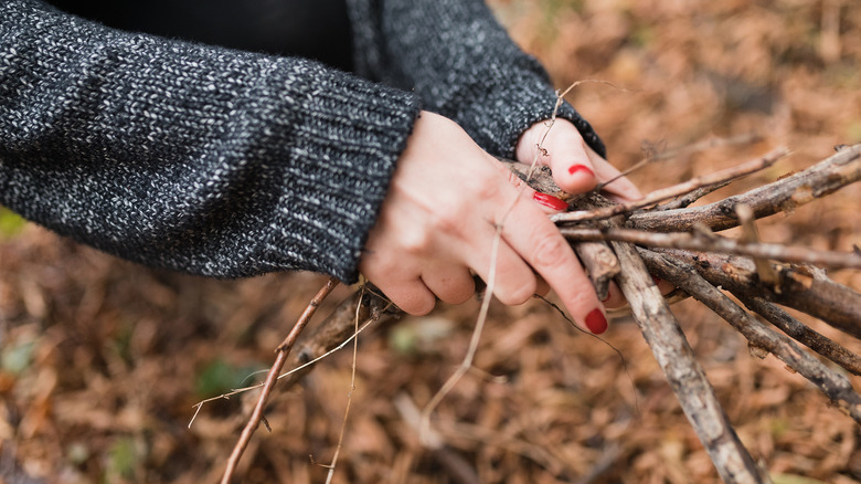 Woman's hands holding a bunch of twigs.