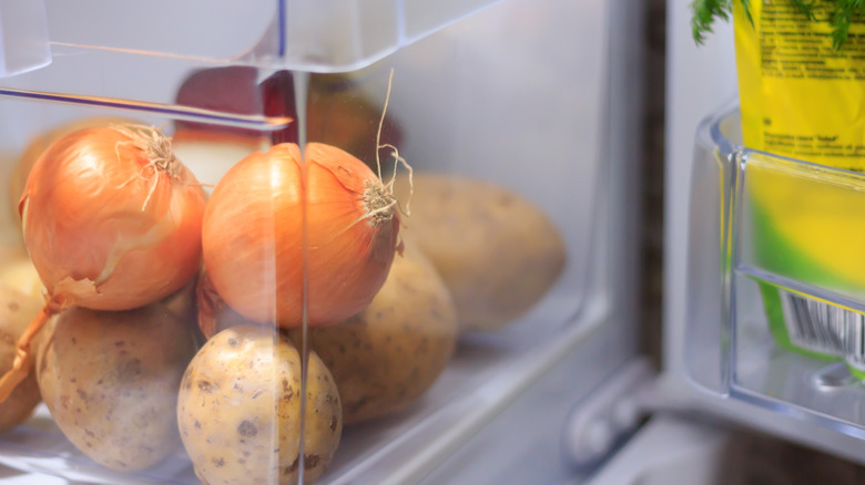 Potatoes and onions in the crisper drawer of a refrigerator
