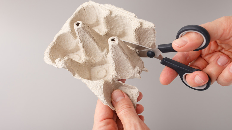 Person cutting a cardboard egg carton.
