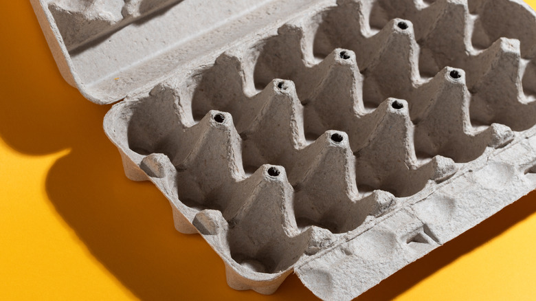 An empty egg carton against a yellow background