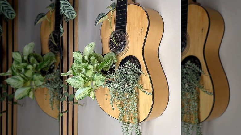 A DIY planter guitar