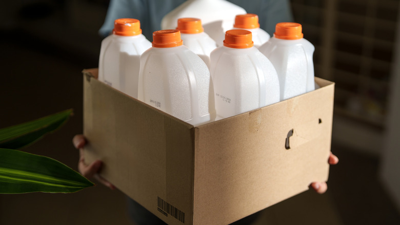 Person holding box of empty plastic milk jugs.