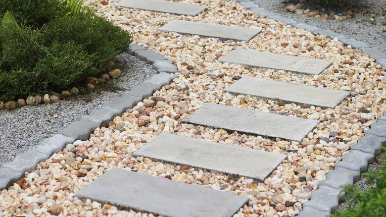 Pathway in a garden