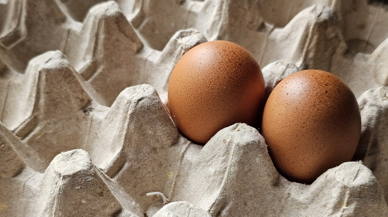 Two eggs in a carton