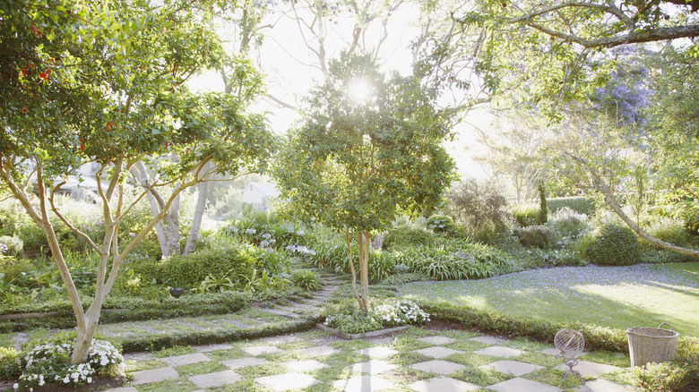 Trees in outdoor garden