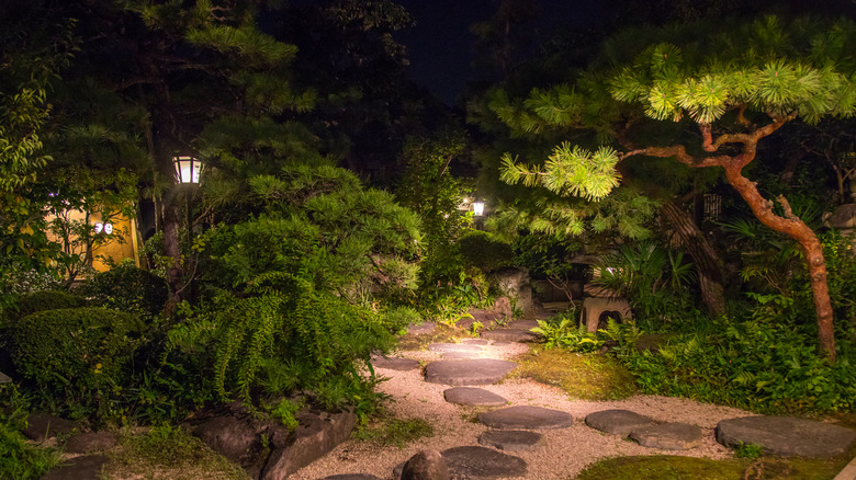 Garden with winding paths