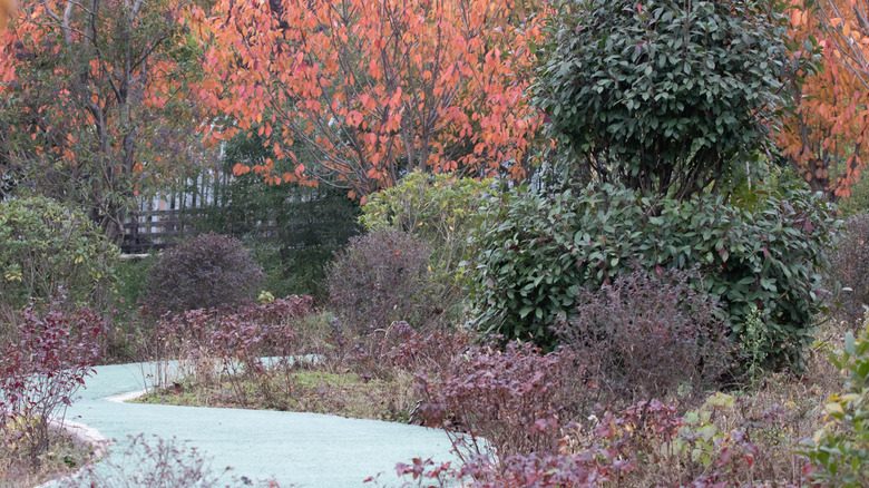 A fall garden with a pathway winding through it.