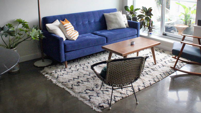 Shaggy rug in living room