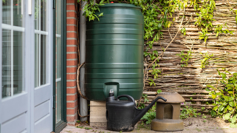 Rain barrel on concrete stand