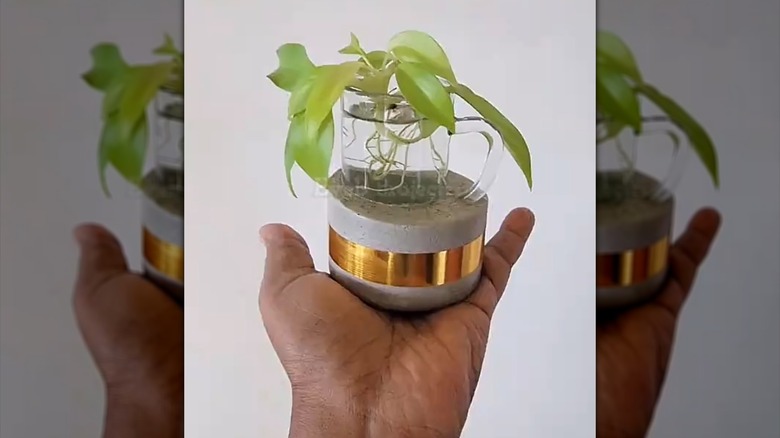A hand holds a DIY planter made from concrete and a tiny glass cup with water and a pothos cutting in it.