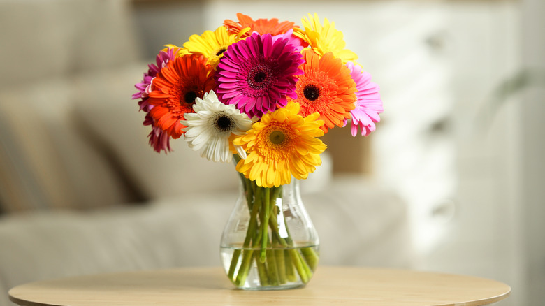 Colorful daisies in a glass vase