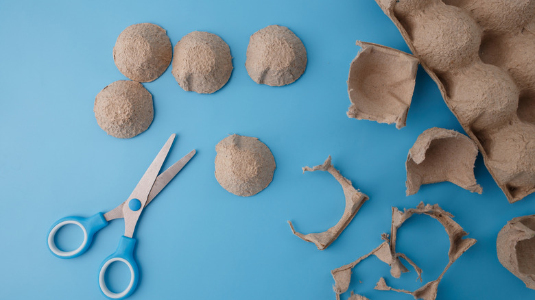 Scissors and cut pieces of egg carton sit on a blue background.