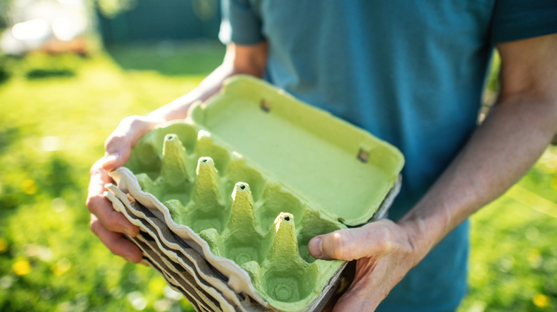 A man holds egg cartons outdoors