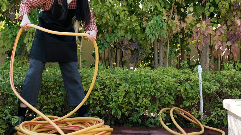 Person trying to coil a super-long garden hose on brick pavers