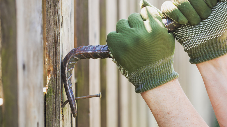 A person wearing gloves removes a rusty nail from an old fence
