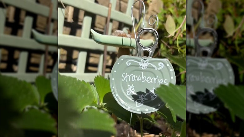 A plant label made from a can lid hangs from a wire stand in a garden.