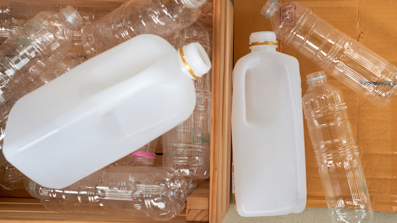 Milk jugs lined up at the grocery store.