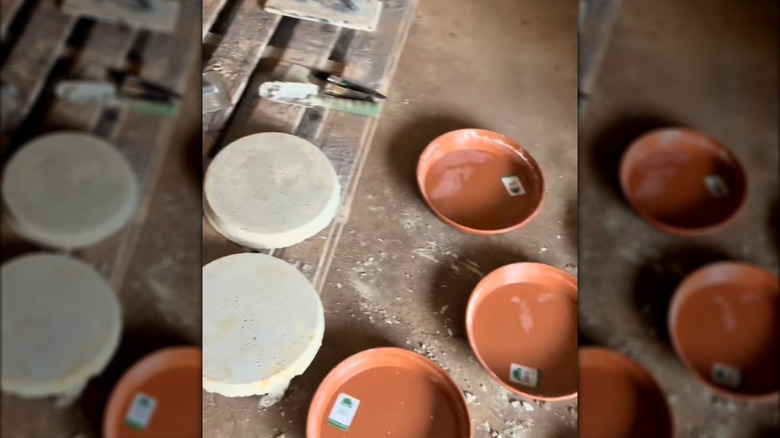 DIY round pavers made using plant saucers
