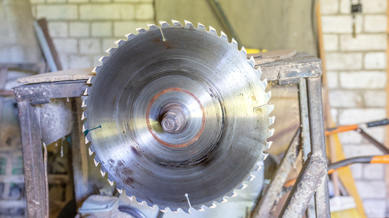 A circular saw blade.