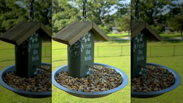 A wooden block, painted in green with "Feed the birds" in white letters, sits atop a pie pan filled with bird seed.
