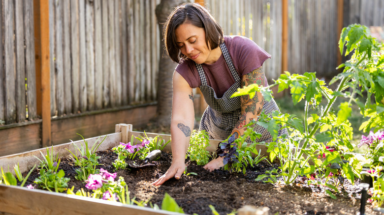 Woman working on her raised garden bed