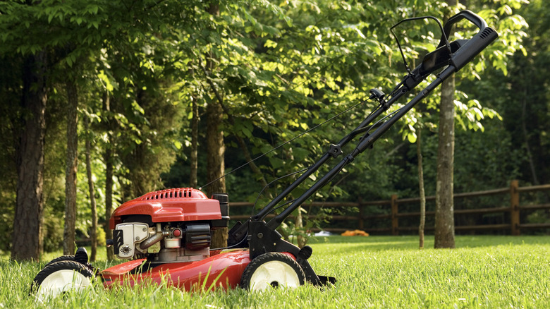 Red lawn mower in tall grass