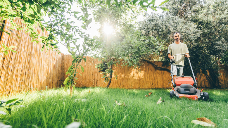 Man mowing the grass in a fenced-in yard