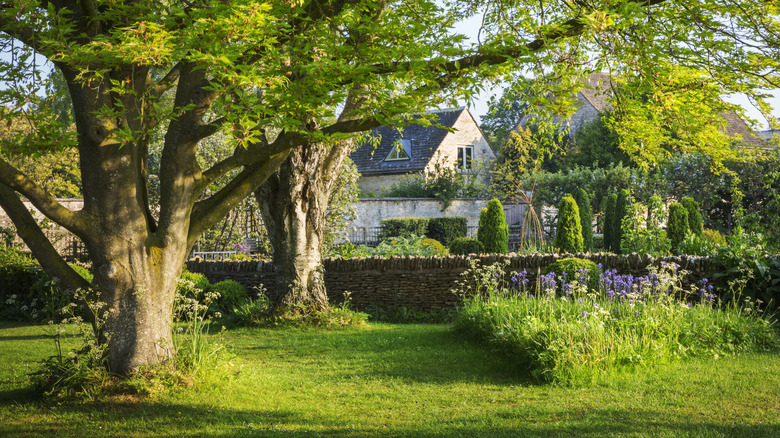 Well-maintained lawn with flower beds and trees