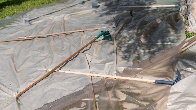 Garden tools on a plastic sheet on green grass
