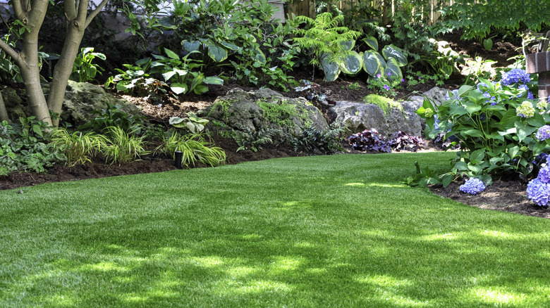 Garden beds on a lush green lawn