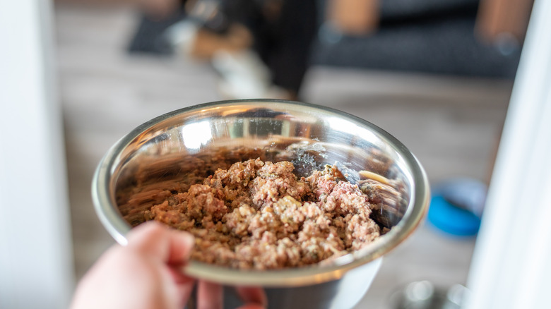 pet food in bowl